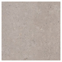 Dlažba Pastorelli Biophilic grey 120x120 cm mat P009411