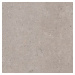 Dlažba Pastorelli Biophilic grey 120x120 cm mat P009411