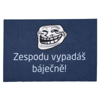 Rohožka Zespodu vypadáš báječně (Meme) 40x60 cm