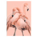 Ilustrace Flamingos nr. 1, Baard Martinussen, 30 × 40 cm