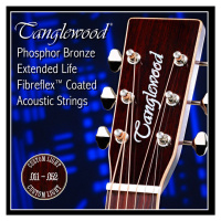 Tanglewood Acoustic Guitar Strings 11 Custom Light