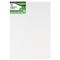 Daler Rowney Malířské plátno Simply White 50 x 70 cm 1 ks