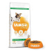 IAMS Dog Adult Small & Medium Chicken 12 kg