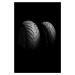 DUNLOP 120/70R17 ZR (58W) Sportmax RoadSmart IV front TL GT