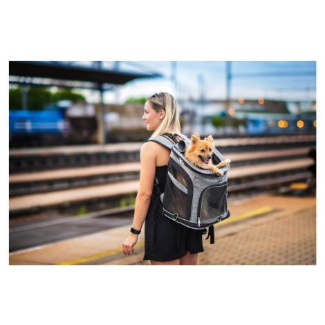 Smart šedo-modrý batoh pro psa | do 6 Kg Barva: Černá, Dle váhy psa: do 6 kg