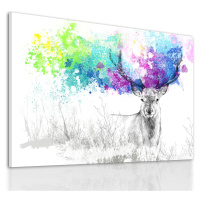 Obraz na plátně DEER IN COLORS A různé rozměry Ludesign ludesign obrazy: 70x50 cm