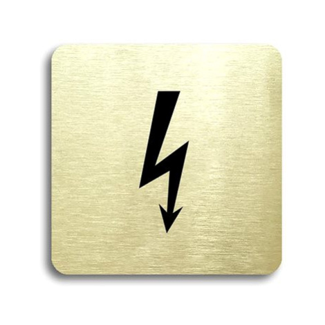 Accept Piktogram "elektrické zařízení" (80 × 80 mm) (zlatá tabulka - černý tisk bez rámečku)