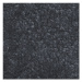 COBA Rohož pro zachycování nečistot pro vnitřní prostory, vlas z PP, d x š 1800 x 1200 mm, šedá