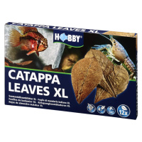 Hobby Catappa Leaves listy velikosti XL, 12 kusů