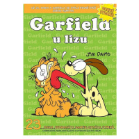 Garfield u lizu