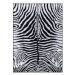 Dywany Łuszczów Kusový koberec Miro 51331.803 Zebra black / white - 120x170 cm