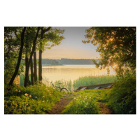 Fotografie A bike, a rowboat and dandelions, Milamai, 40 × 26.7 cm