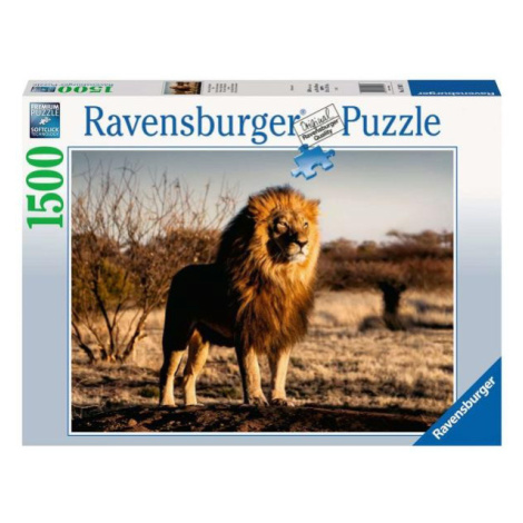 Puzzle 1500 dílků Lev Ravensburger