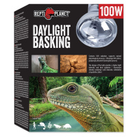 Žárovka REPTI PLANET Daylight Basking Spot 100 W