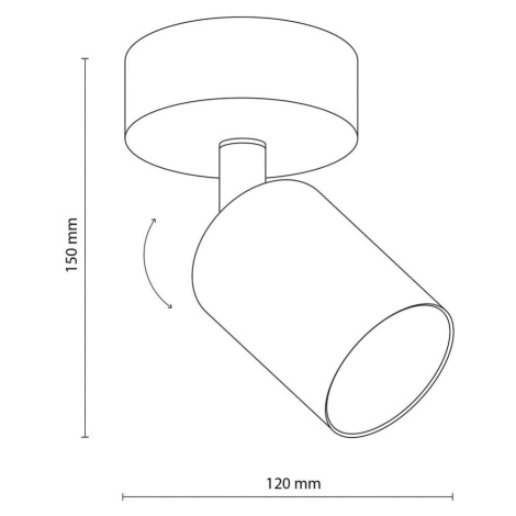 TK Lighting Stropní bodové svítidlo Top, nastavitelné, hnědé, jednoplamenné