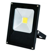 Greenlux LED reflektor 50W MCOB DAISY Studená bílá GXDS108