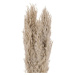 Eglo LIVING Pampas grass v.550 3 ks GUIPOS 428083