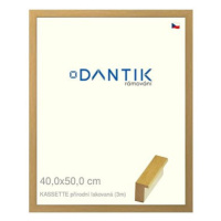 DANTIK rámeček 40 × 50, KASSETTE přírodní lakovaný sklo čiré