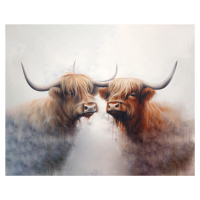 Obrazy na stěnu - Skotští býci Rozměr: 40x50 cm, Rámování: vypnuté plátno na rám