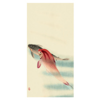Obraz na plátně Ohara Koson - Two Carp, (30 x 60 cm)