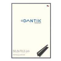 DANTIK rámeček 50 × 70, ALU profil 7002 Platina matný plexi čiré