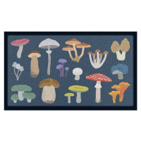 Rohožka 40x70 cm Mixed Wild Mushroom – Artsy Doormats