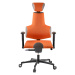 Zdravotní židle THERAPIA SENSE –⁠ na míru, více barev HX57/CX20 toast
