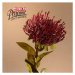 Protea řezaná umělá červená 73cm