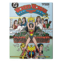 Obraz na plátně Wonder Woman - Fantastic, 2 cm - 80x60 cm