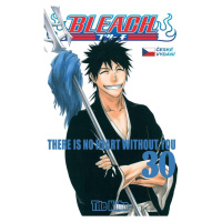 Bleach 30: There is no heart without you - Noriaki Kubo