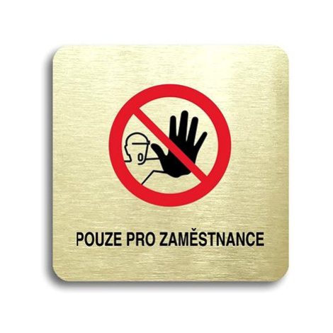 Accept Piktogram "pouze pro zaměstnance III" (80 × 80 mm) (zlatá tabulka - barevný tisk bez ráme