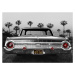 Fotografie Ford Galaxie 500XL, Larry Butterworth, 40 × 30 cm