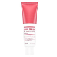 A'PIEU Mulberry Blemish Clearing Cream