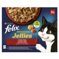 Felix Fantastic lahodný výběr v želé 24 x 85 g