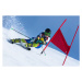 Fotografie Professional Female Alpine Skier at Giant, mmphoto, 40 × 26.7 cm