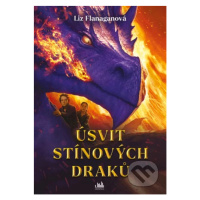 Úsvit stínových draků - Liz Flanagan - kniha z kategorie Beletrie pro děti