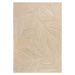 Béžový vlněný koberec 200x290 cm Lino Leaf – Flair Rugs