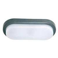 LED VenKovní nástěnné svítidlo OVAL LED/12W/230V IP54