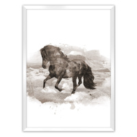 Dekoria Plakát Horse, 21 x 30 cm, Volba rámku: Bílý