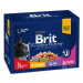 Brit Premium Cat kapsa Family Plate 1200g (12x100g) + Množstevní sleva