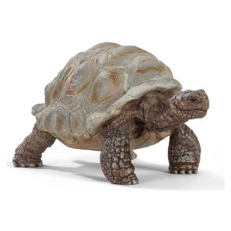 Schleich 14824 Zvířátko želva obrovská