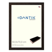 DANTIK rámeček 50 × 70, RETRO černý plexi čiré