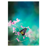 Fotografie Trails of spring, twomeows, 26.7 × 40 cm