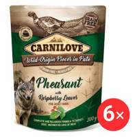 Carnilove Dog Pouch Paté Pheasant with Raspberry Leaves 6 × 300 g