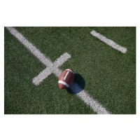 Fotografie Overhead view of American football ball on field, Tetra Images, 40x26.7 cm