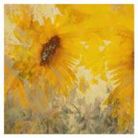 Ilustrace Sunflower, Nel Talen, 40 × 40 cm