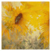 Ilustrace Sunflower, Nel Talen, 40 × 40 cm