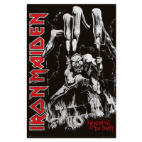 Plakát, Obraz - Iron Maiden - Number of Beast, (61 x 91.5 cm)