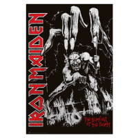 Plakát, Obraz - Iron Maiden - Number of Beast, 61 × 91.5 cm