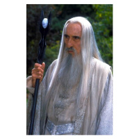 Fotografie Saruman, (26.7 x 40 cm)
